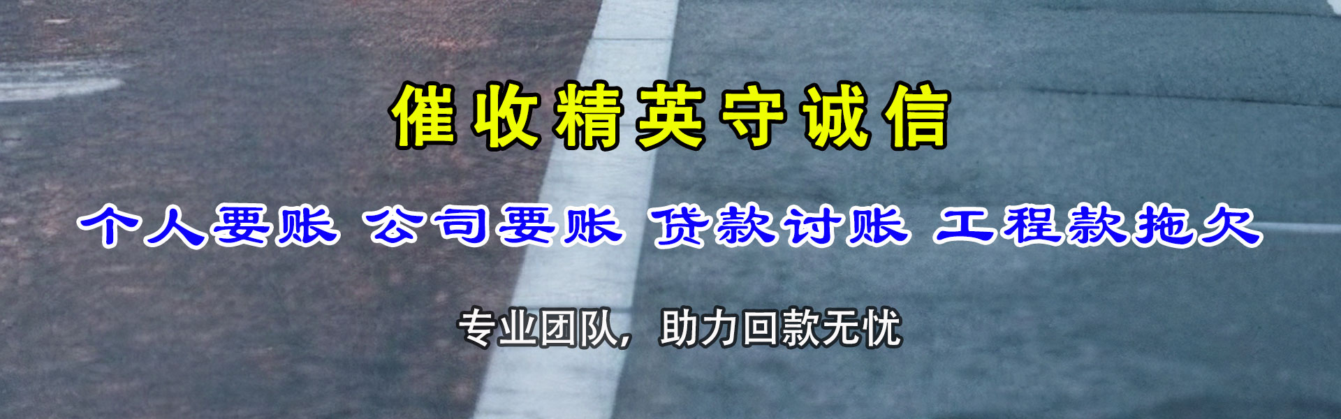 临渭清账公司